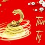 3 Năm Tam Tai Của Tân Tỵ 2001