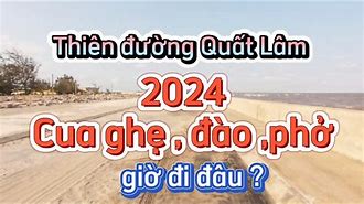 Biển Quất Lâm Giờ Ra Sao