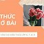 Cách Làm Bài Văn Nghị Luận Xã Hội Lớp 11