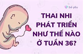 Cân Nặng Thai 36 Tuần