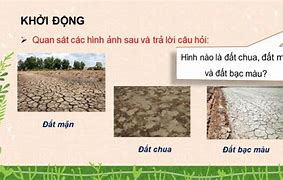 Công Nghệ 10 Kết Nối Tri Thức Bài 4 Sử Dụng Cải Tạo Và Bảo Vệ Đất Trồng