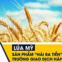 Hiệp Hội Lúa Mì Việt Nam Việt Nam Là Gì