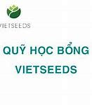 Học Bổng Vietseeds 2022 Là Gì Tốt Nghiệp Thpt Không