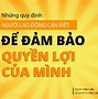 Luật An Toàn Vệ Sinh Lao Động Mới Nhất Hiện Nay